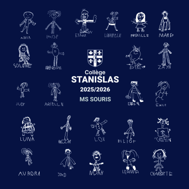 Moyenne section souris 